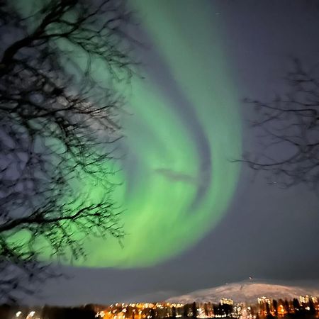 Beijing Home Tromsø Exteriér fotografie